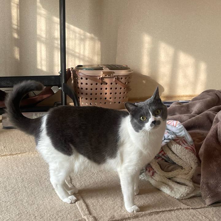 A82ea806 ecab 4316 8dfb 2c9e0c9eb658 1701907049831