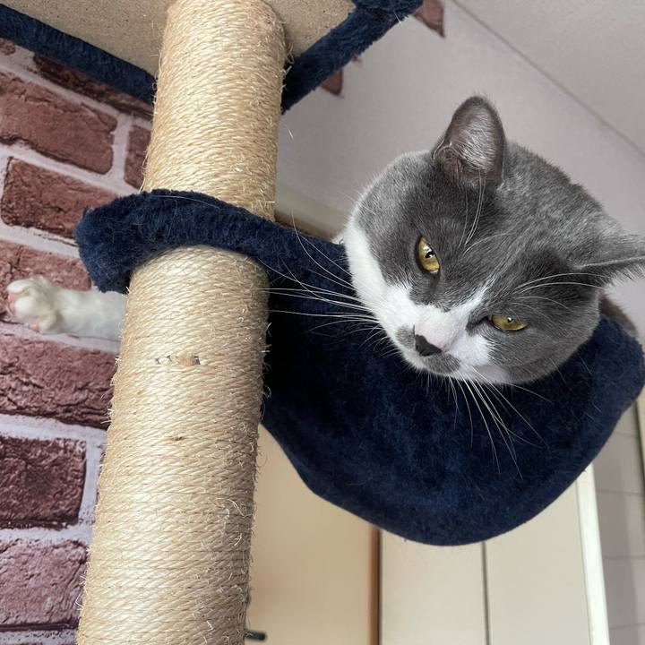 A82eaae4 b6db 4026 813e 8be8dc08601b 1660348259150