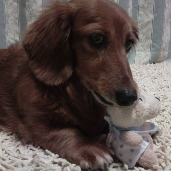 A82ee230 afcb 4153 8184 1d88ddccf334 1546799339593