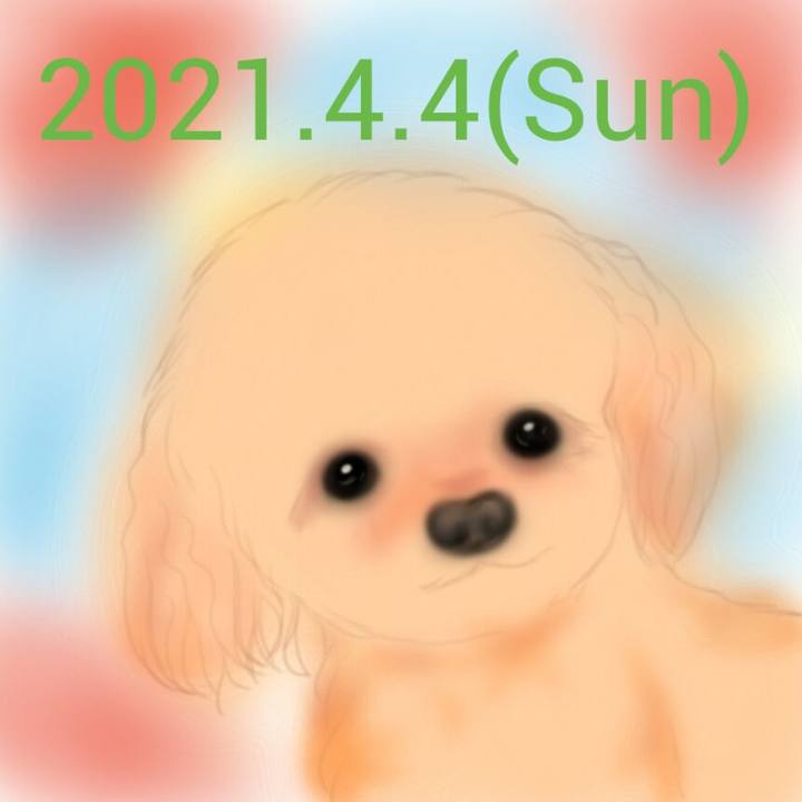 A82ee3fe 1447 49d3 82c5 a4cf1ab3db7e 1617515253239