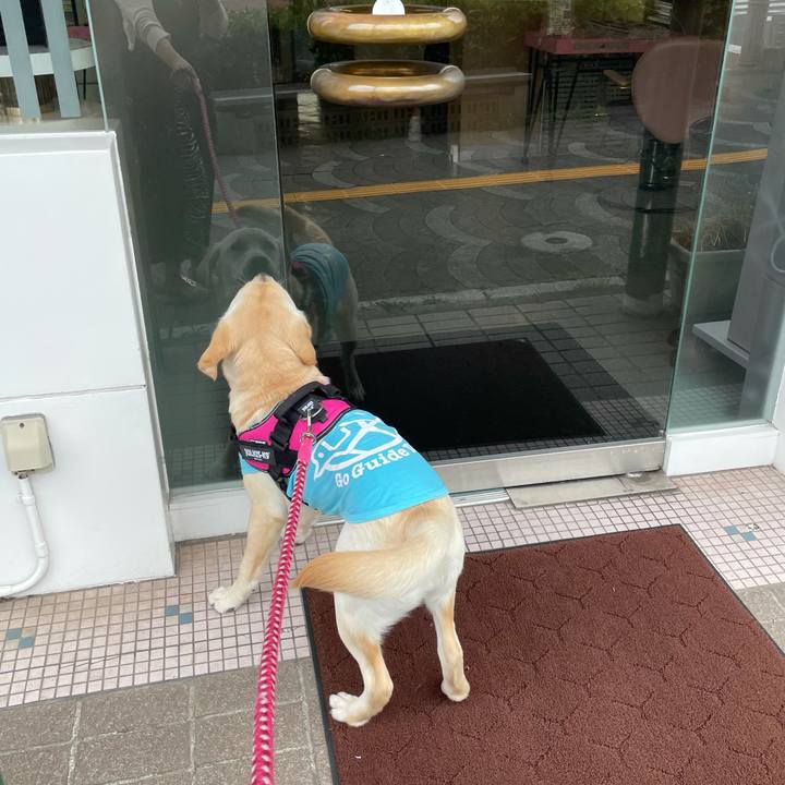 A82ee7d0 5425 498c a03d c79238e8cb9d 1622120126814