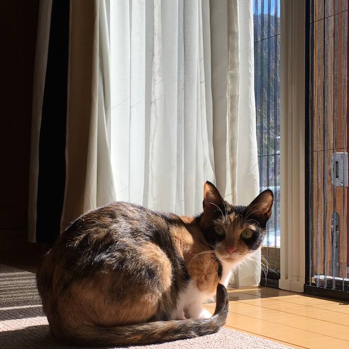 A82eea5d 73f0 4eae b591 7654fa5c3297 1519267975875