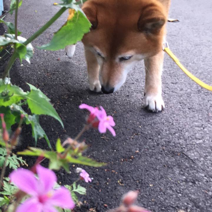 A82eef48 a6d3 4ac3 aa5b 6c8efef30106 1556009392490