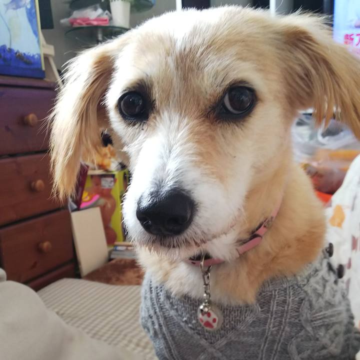 A82f298e 5370 4be3 b868 cff02ec6825f 1542238483883