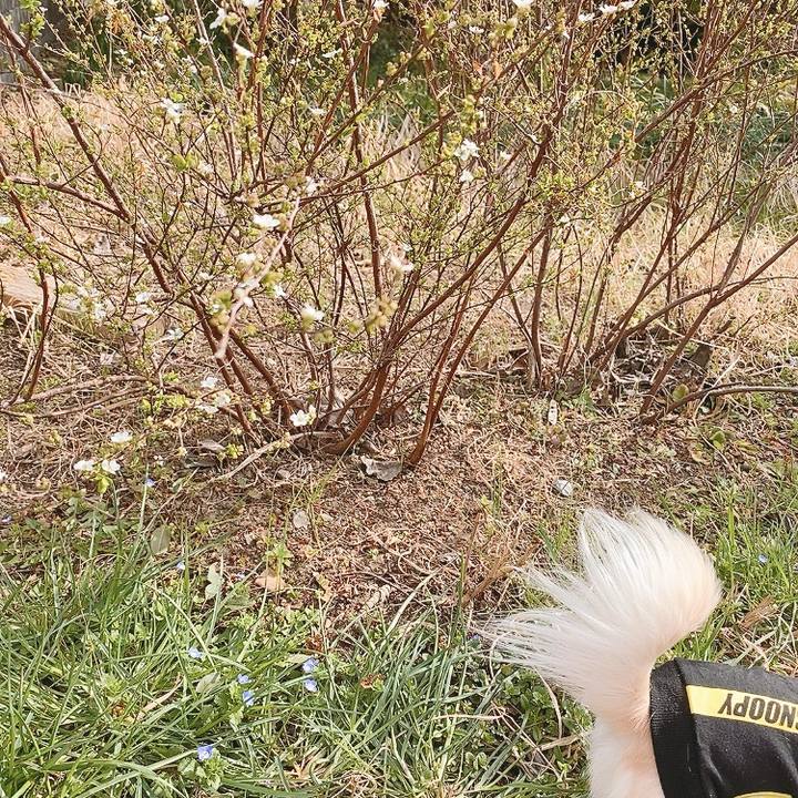 A82f50da 1d1a 4141 8122 cb96bbd617ac 1614580910269