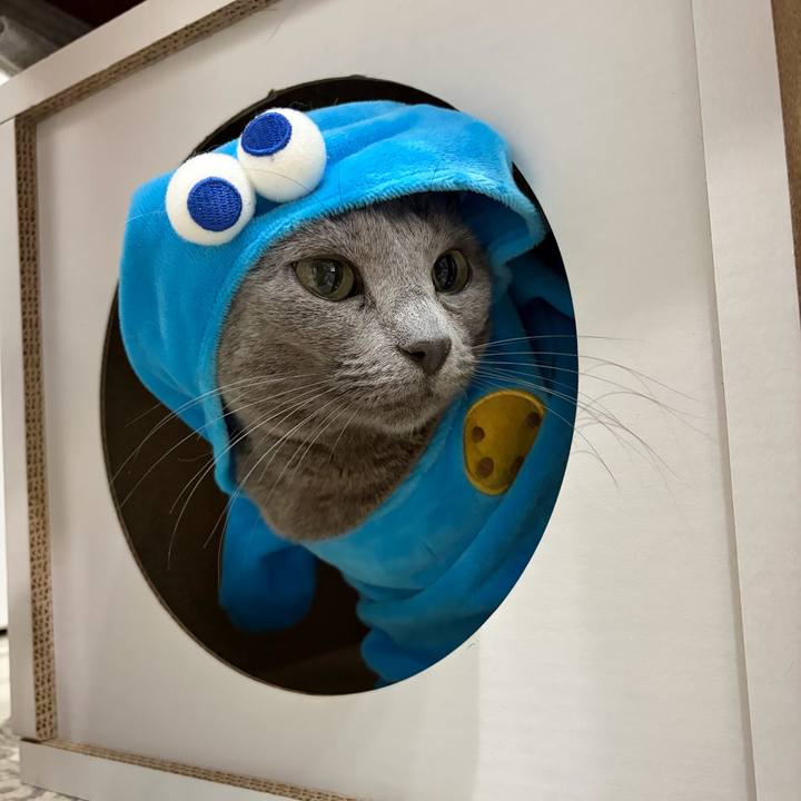 A82f6a7c 14dc 4af5 9b2d 686763a06e11 1765720431184