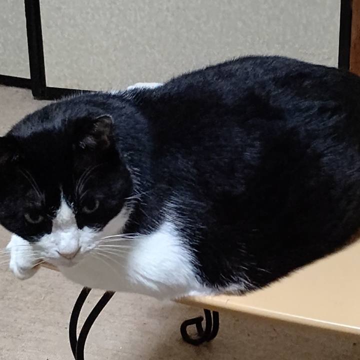 A82f9282 8d5a 47fd 8032 cb8ef4e2535e 1632136367405