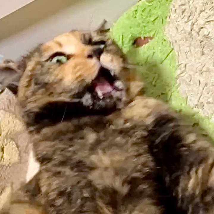 A82f9983 f2dc 4467 bed3 56dc3da9191c 1730972473265