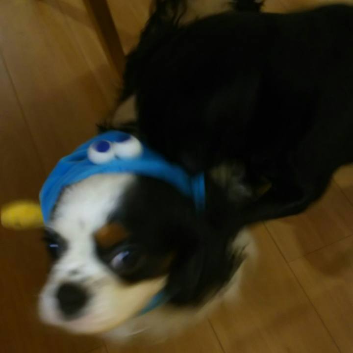 A82fc482 e3dd 48c2 adfc 194489be6fa9 1531135680658