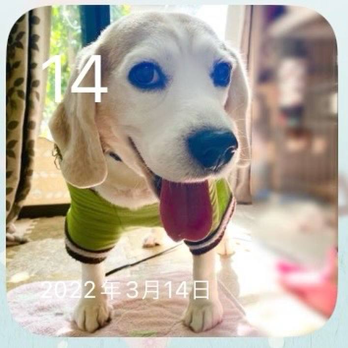 A82fceb1 dbd4 4d2a b666 56cc9c74109a 1710375329346