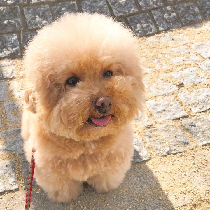 A82fe544 242e 4c6d 9191 d54a0ec31e77 1511574219049