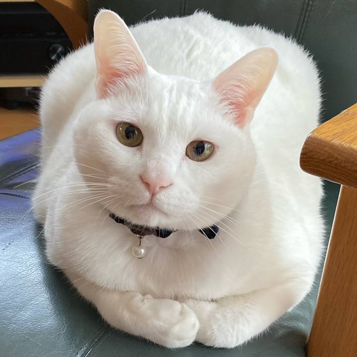 A8304736 36a0 4672 8d65 fc9ececdf4a8 1647308111155