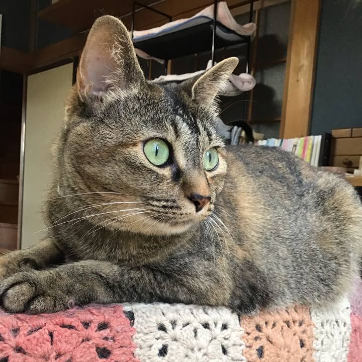 A8305eed 9c78 4133 b8de cccb7f4c008c 1687766892387