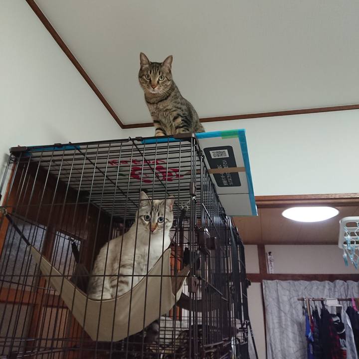 A83061d2 022a 4206 b3f0 b1054bf4603a 1521193265783