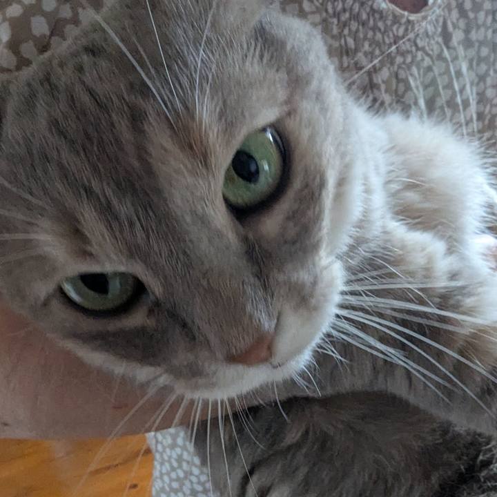 A8307b02 62ca 4fe4 acc7 c25dddd9e529 1755340593178