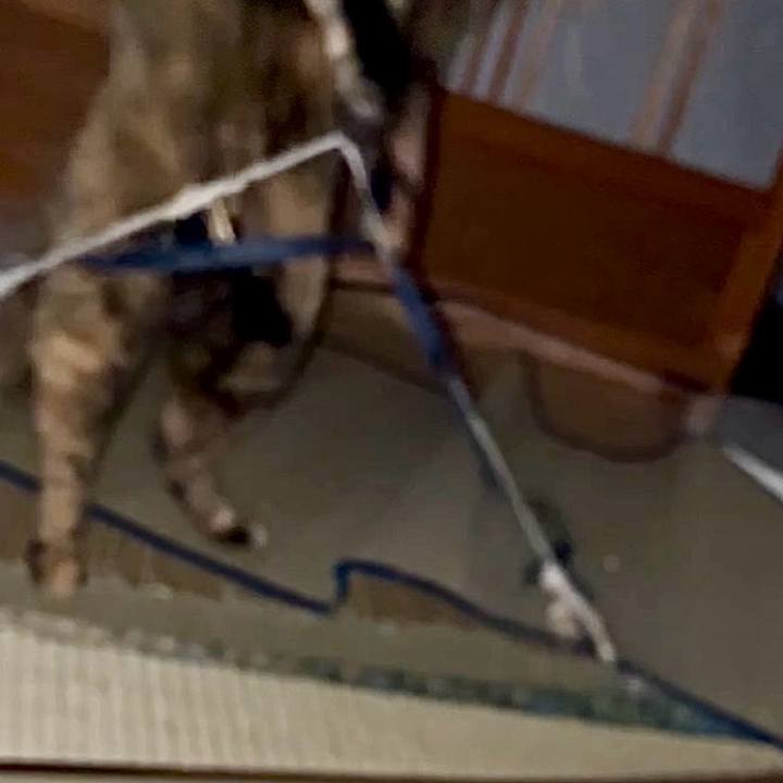 A8308d43 3afa 410f 8128 d7eab26d0156 1765706027277