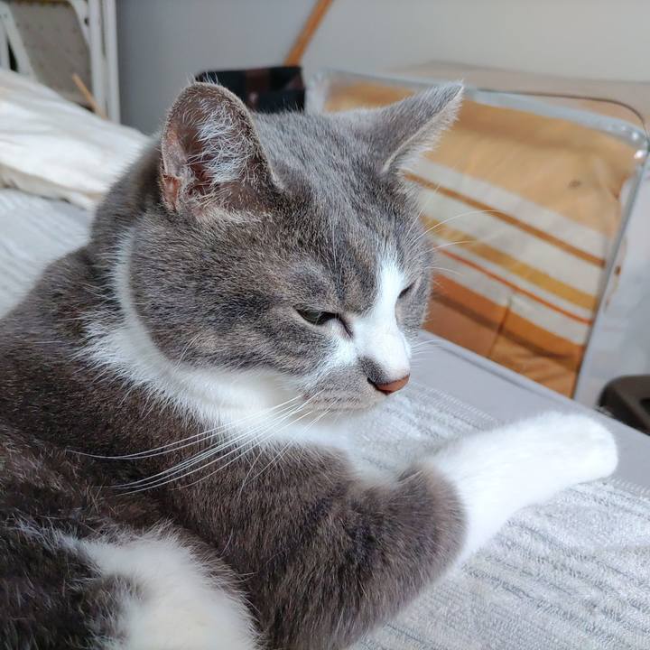 A830f23f 01b4 41d7 a6de 0e0998864695 1719488701746