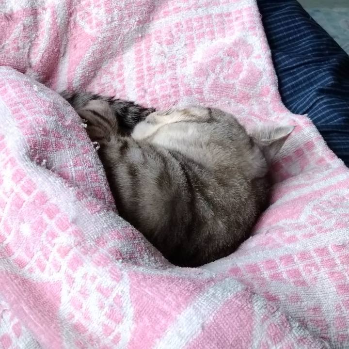 A830f6d4 f5f1 41fb b576 89d5c067e832 1620218587757