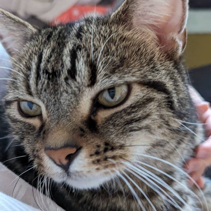 A83129a5 119f 45bd 892e b4293fbc47b8 1704018187940