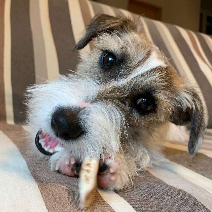 A8313cd3 d384 4062 8a0a 1cc3f9111a9d 1574121861434