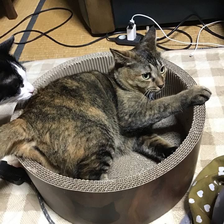 A831533b ac49 4688 973f 27b7f4460784 1699523198854