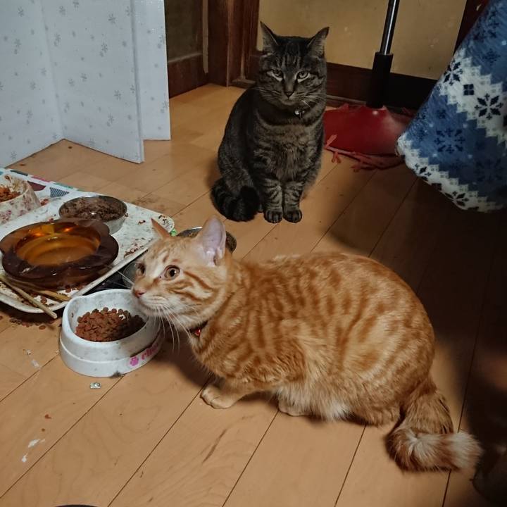 A8316331 6cf4 43b2 bb91 01b8411434dd 1644664712509