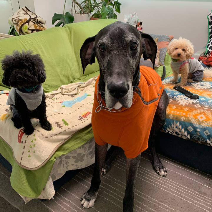 A8319192 d5d1 42d7 aba3 5d6569222be3 1574203282656