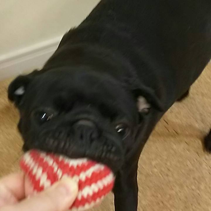 A831a02d b95f 439d 832d 2fc9ad2dbb57 1538833066023