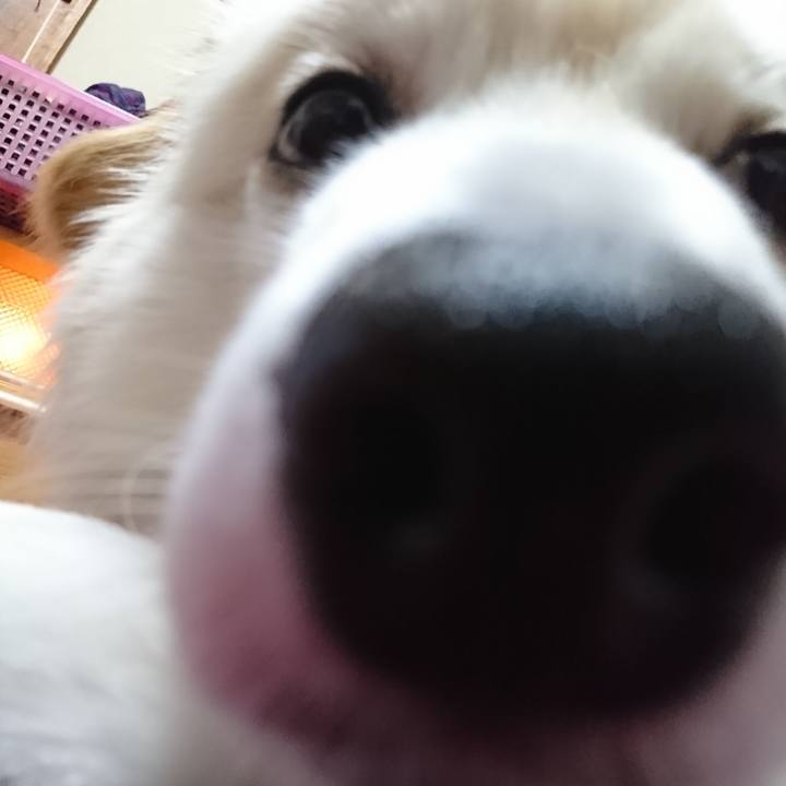 A831de9b 3fbb 469d bbc1 dd5f17b04bbf 1529527741887