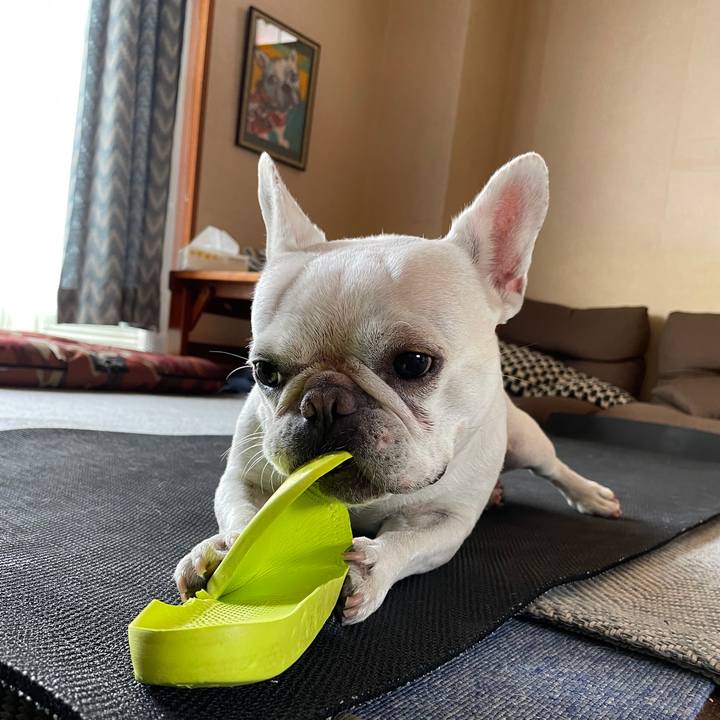 A8321500 e8d0 4781 86cb 825b6c82b9b8 1722937941230