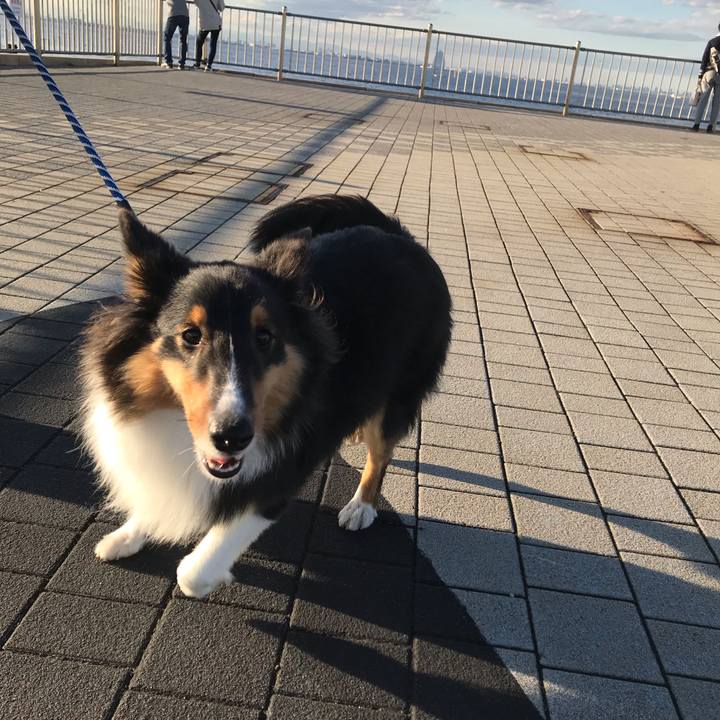 A83225e0 1f87 4014 93ed 6fbf8a568d53 1543014297033