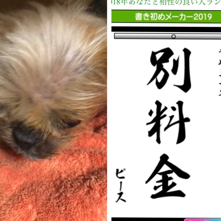 A8327ce6 9818 4854 99b2 da554be9453d 1546513600682