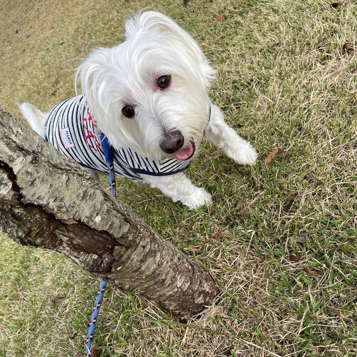 A832b4cc 3598 45ab be2c 94587000d3c5 1635912750521