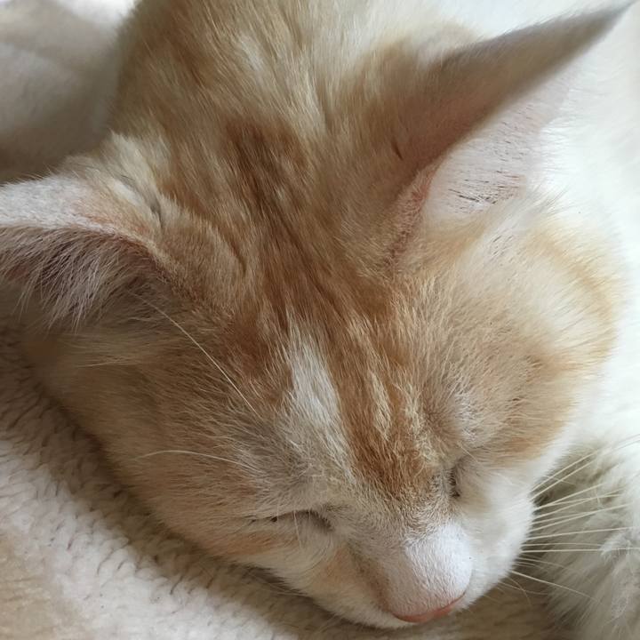 A832e6df 7276 475c 8dda 7535bdf6d729 1519562271652