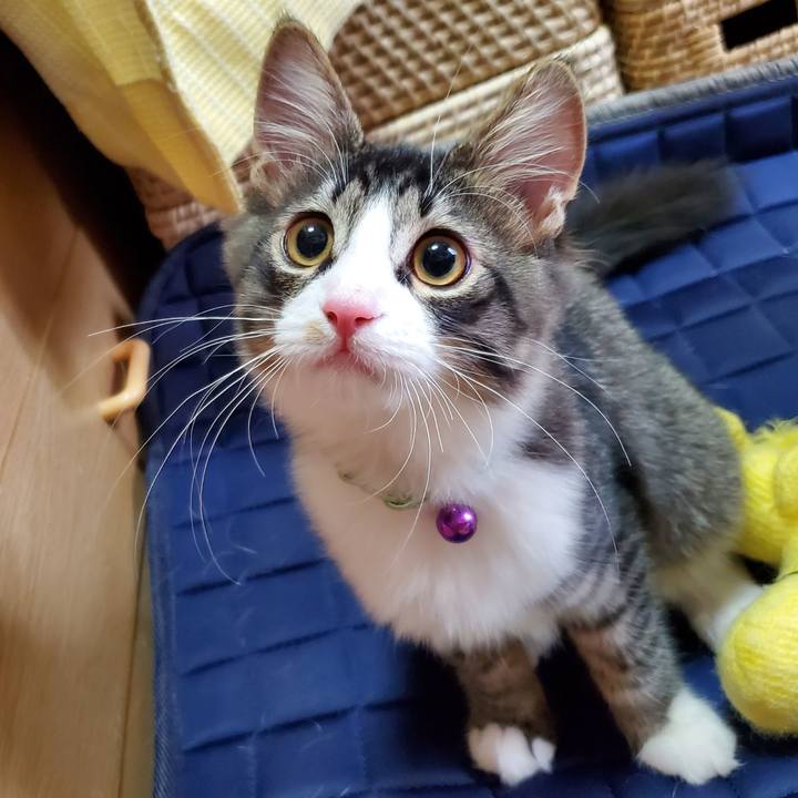 A83304f5 1cb7 4b77 9d10 43b69fcbe0a1 1634265067568