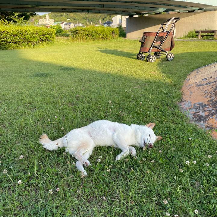 A8331443 4e0e 4b71 9891 fa9bec74a55c 1654613891494