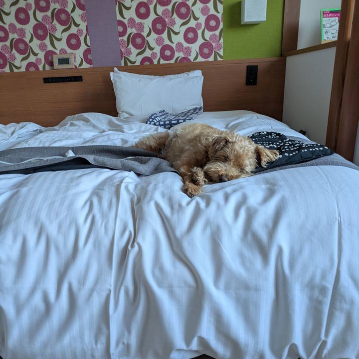 A833406d 2382 4f3e 9845 06e17b0798e6 1776588347580