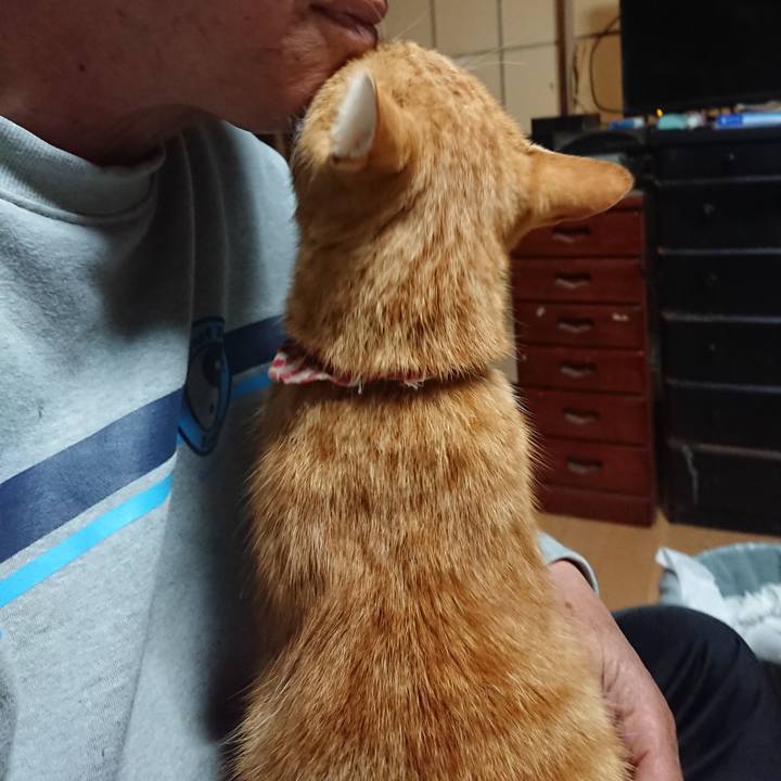 A83364d7 344b 4a28 9df4 96aede2f5625 1603914939467