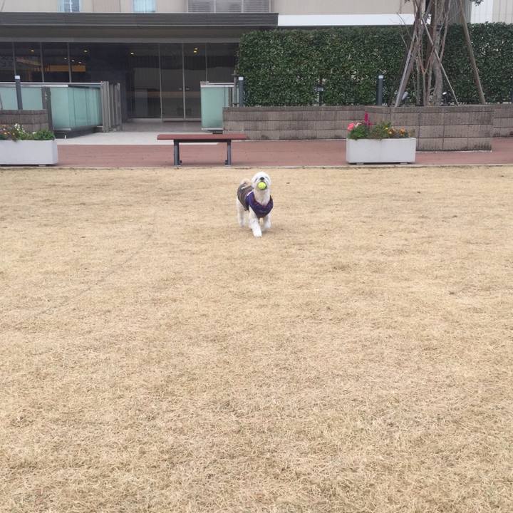 A83369de aef5 4195 8f11 8c5a4c2e45a7 1512735360191