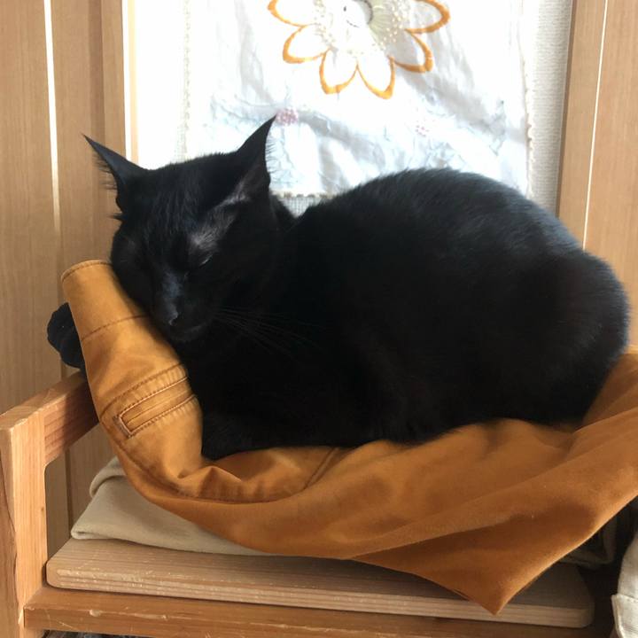 A8338f8d 4316 41ee ba75 a041ffd1d594 1547363470720