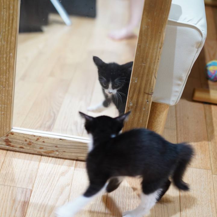 A8339e95 00ff 467f a314 62a8a9c712dc 1567518206604