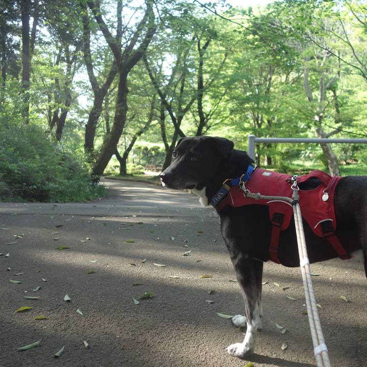 A833b491 06e1 4e06 9cea b71c14d99325 1681947116645