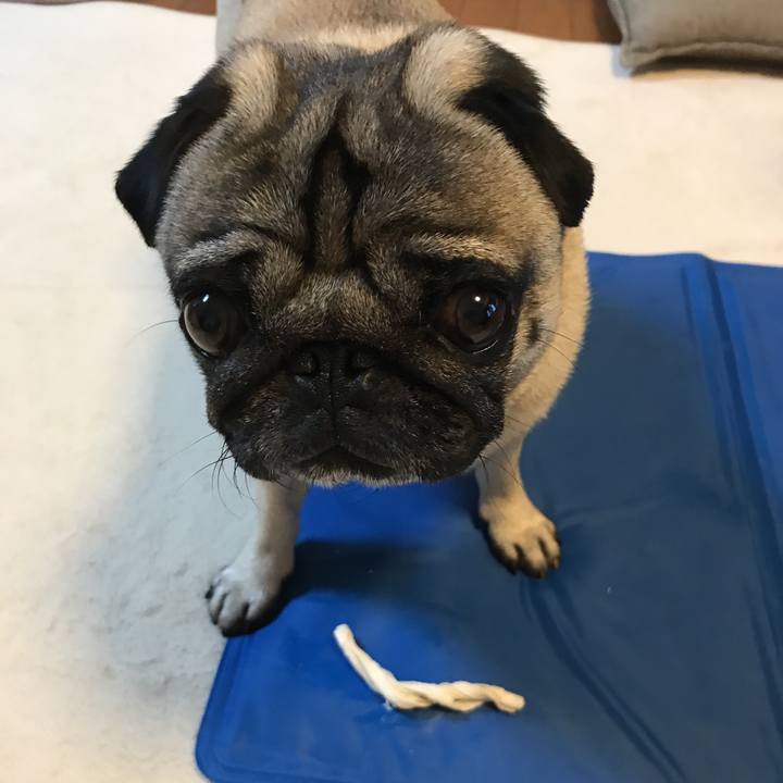 A833c34f 9d44 41e1 8104 7fe1903c9546 1530012559938