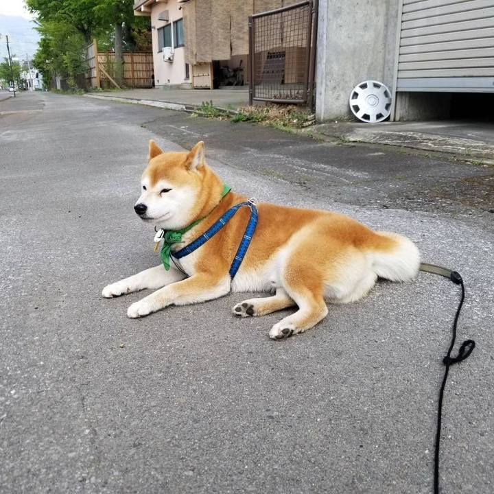 A833cb69 9071 4fa4 895c 0a9b2e521794 1557121942652