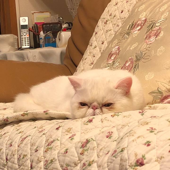 A833d020 c52e 4a7e 9c2b 3c37fbcfc8ef 1578226652537