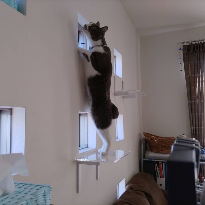 A833df49 0ce0 4fc0 9776 5efcb7711429 1673498694824