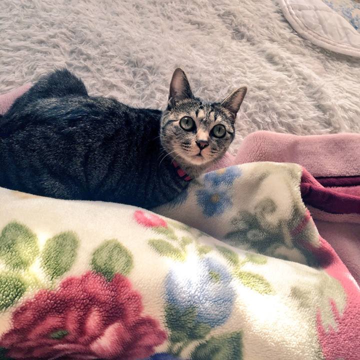 A833f71d 34c9 46af 991d 99bf52da4917 1509580839009