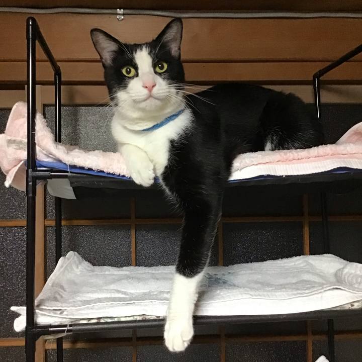 A8342107 a62a 4775 b72d f6e47c2dded4 1695560899828