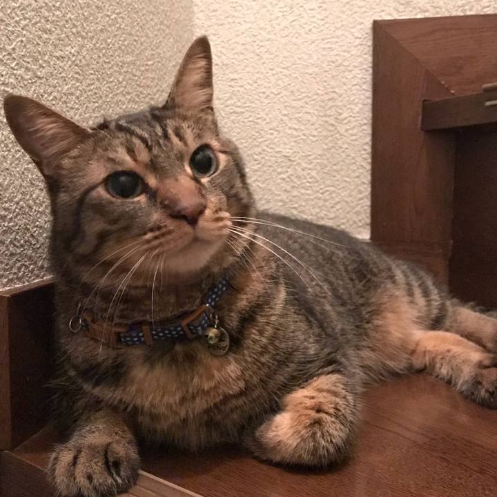 A83455cb 58d6 43b6 8fd6 4b63c5e6d22d 1632570815229