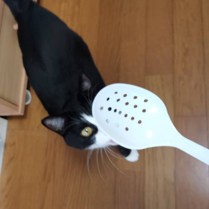 A834593f 6116 49fe ad60 b2de722b4bae 1601043123217